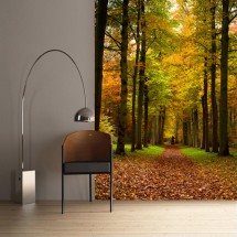 Wallpaper Autumn Road