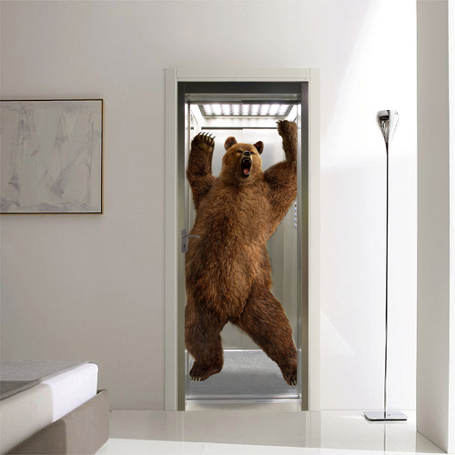 Bear in elevator