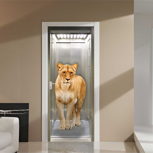 Lioness in elevator