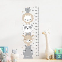 Height measure Animals with stars